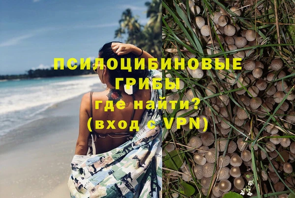 а пвп мука Абаза