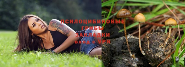 МДПВ Абинск