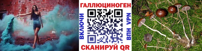 Галлюциногенные грибы Psilocybine cubensis  гидра ONION  Углегорск  купить  